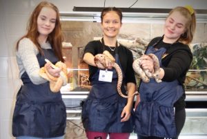 kolme eläintenhoito-opiskelijaa pitelee käärmeitä käsissään