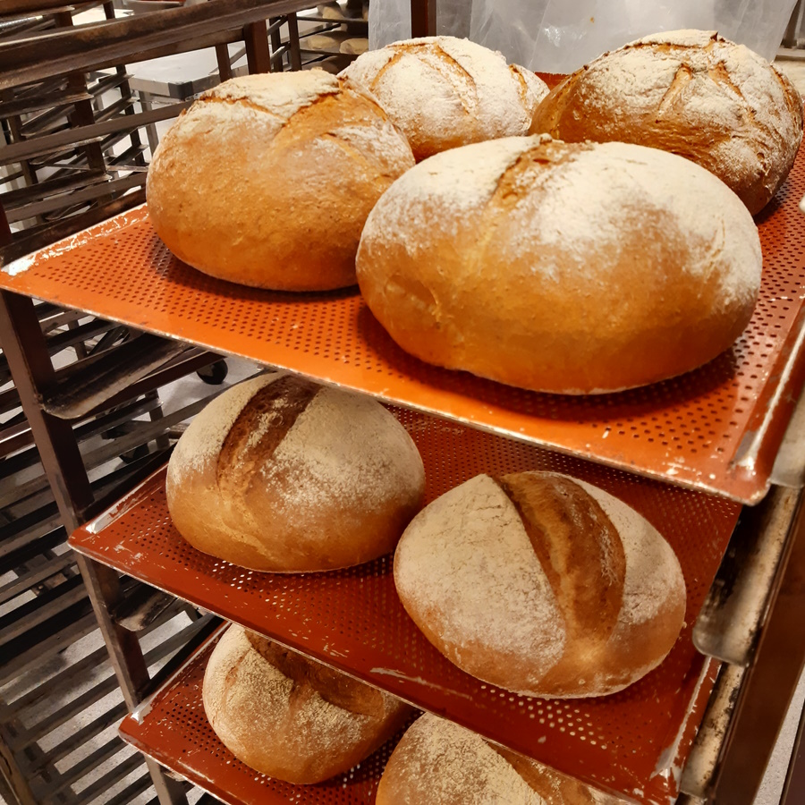 Leipomossa kuljetuskärryssä tuoreita leipiä.